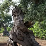 Dimora Rudiae * Lecce