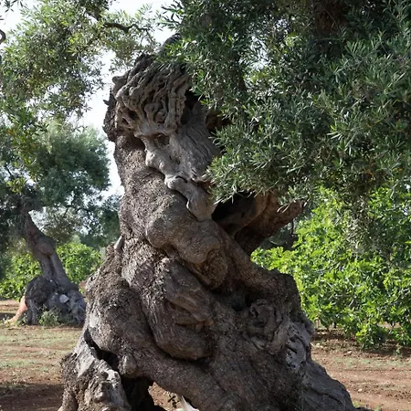 Dimora Rudiae * Lecce