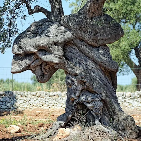 Dimora Rudiae